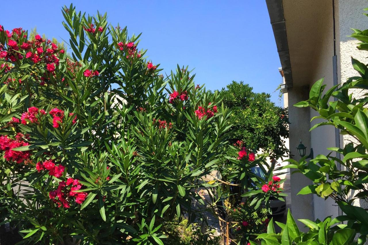 Apartments By The Sea Orebic, Peljesac - 11450 Bagian luar foto