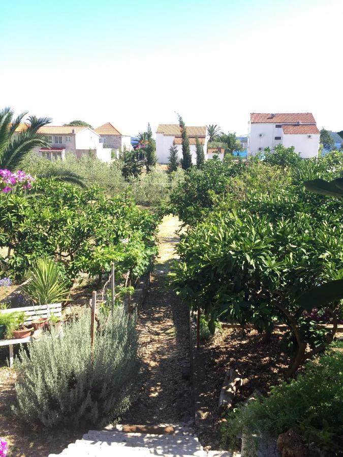 Apartments By The Sea Orebic, Peljesac - 11450 Bagian luar foto